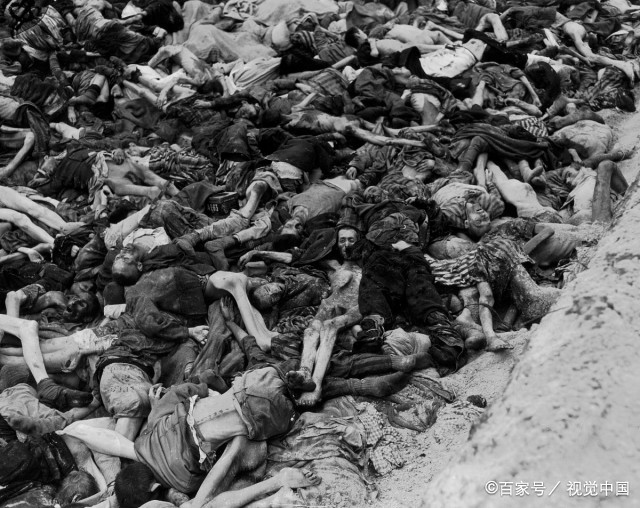 这一"行动"使600万犹太人被屠杀,陷入"黑夜"之中